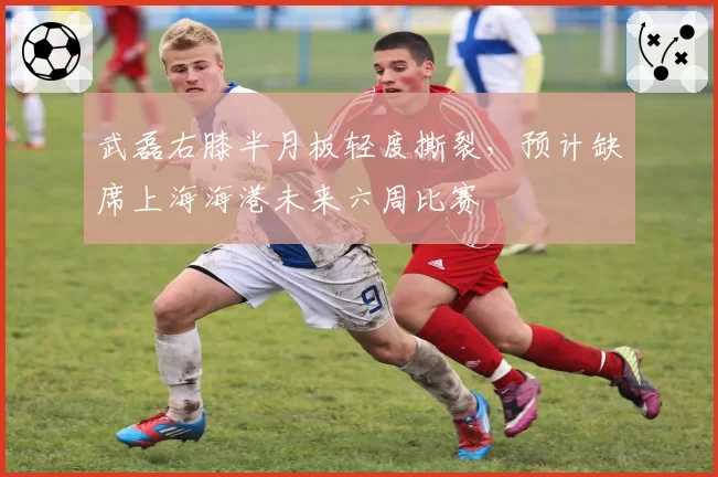 武磊右膝半月板轻度撕裂，预计缺席上海海港未来六周比赛