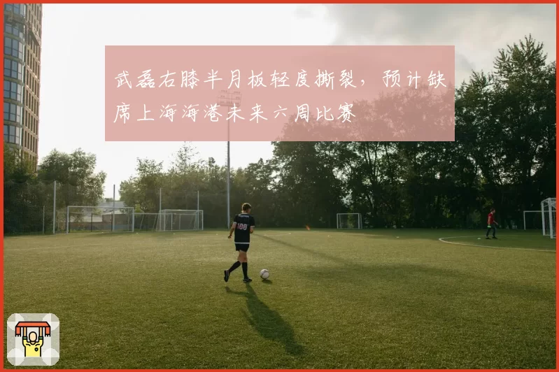 武磊右膝半月板轻度撕裂,预计缺席上海海港未来六周比赛